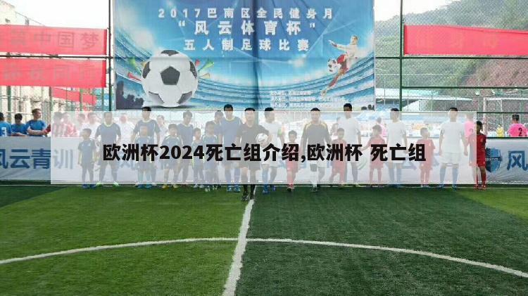 欧洲杯2024死亡组介绍,欧洲杯 死亡组