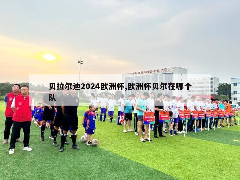 贝拉尔迪2024欧洲杯,欧洲杯贝尔在哪个队