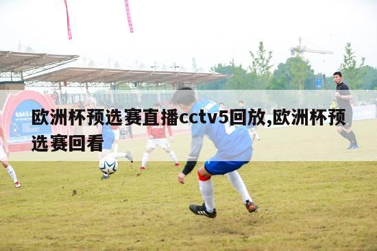 欧洲杯预选赛直播cctv5回放,欧洲杯预选赛回看