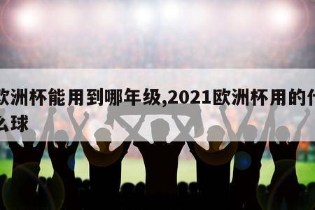 欧洲杯能用到哪年级,2021欧洲杯用的什么球