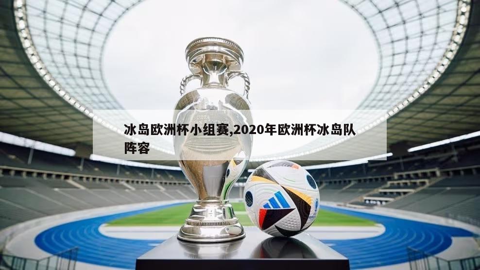 冰岛欧洲杯小组赛,2020年欧洲杯冰岛队阵容