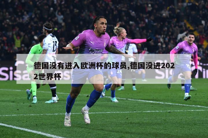 德国没有进入欧洲杯的球员,德国没进2022世界杯