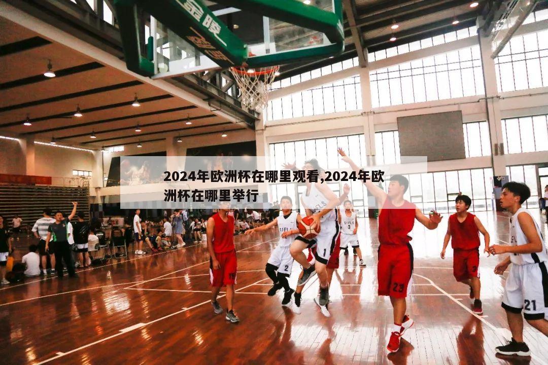 2024年欧洲杯在哪里观看,2024年欧洲杯在哪里举行