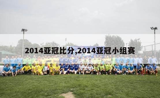 2014亚冠比分,2014亚冠小组赛